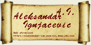 Aleksandar Ignjačević vizit kartica